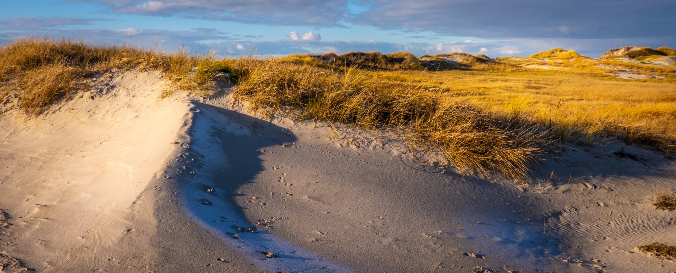 Amazing landscape at the Wadden Sea in St Peter Ording Germany Amazing landscape at the Wadden Sea in St Peter Ording Germany - travel photography